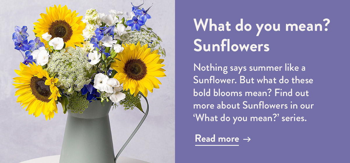 What do you mean? Sunflowers