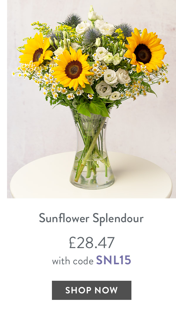 Sunflower Splendour - only &pound;28.47 with code
