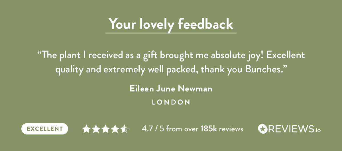 Your lovely feedback