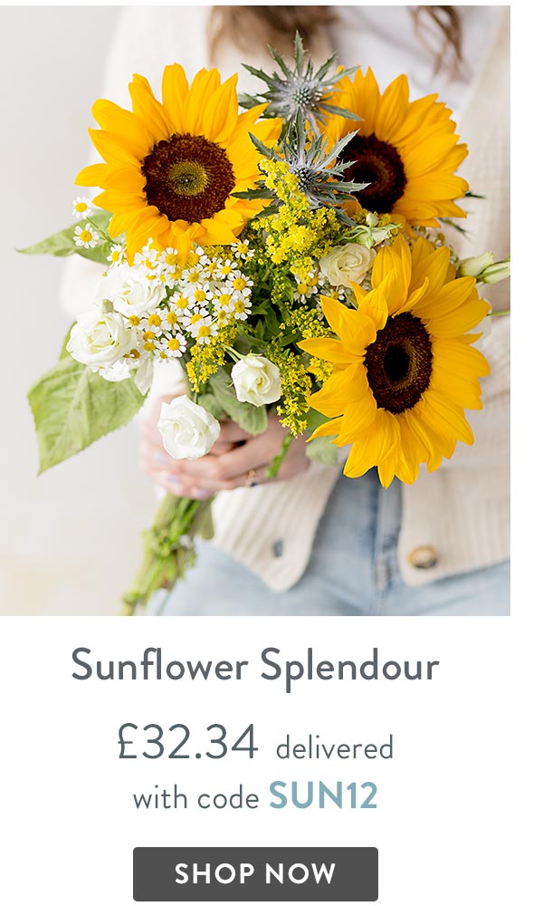 Sunflower Splendour - only &pound;32.34 delivered