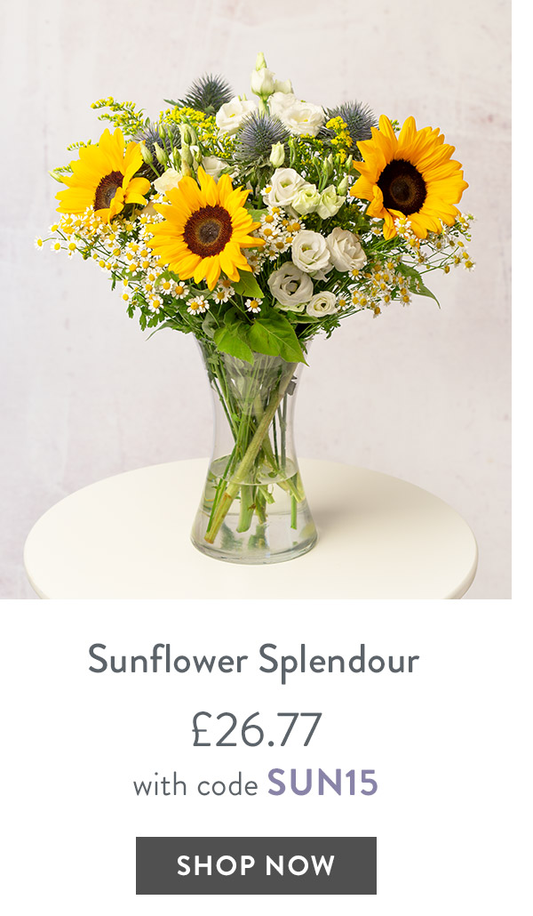 Sunflower Splendour - only &pound;26.77 with code