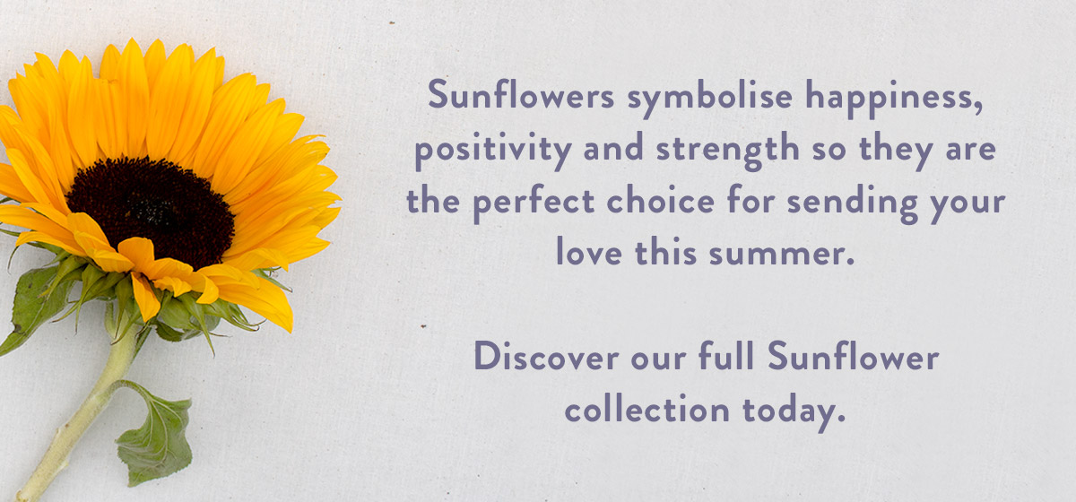 Sunflowers are here