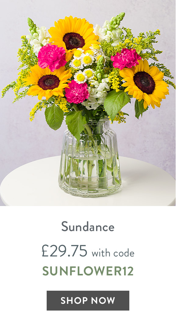 Sundance - only &pound;29.75