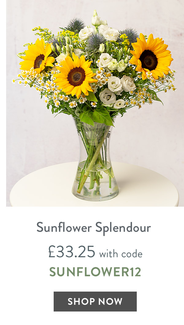 Sunflower Splendour - only &pound;33.25