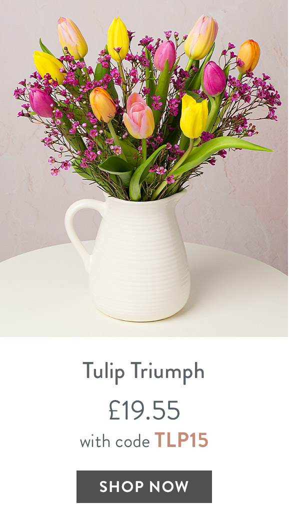 Tulip Triumph - only &pound;19.55 with code
