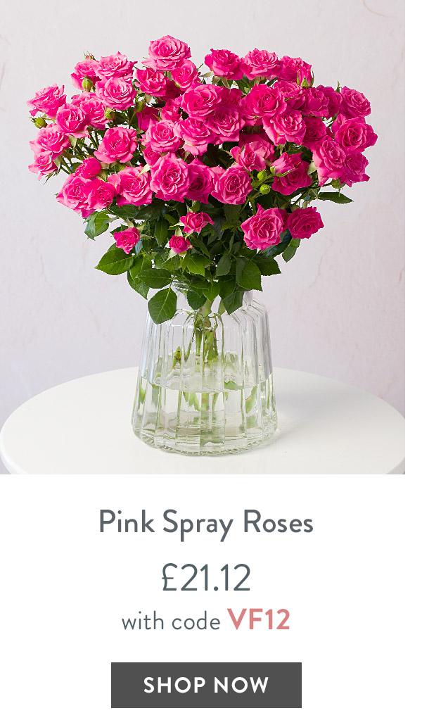 Pink Spray Roses - only &pound;21.12 with code