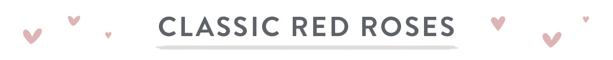 Classic Red Roses