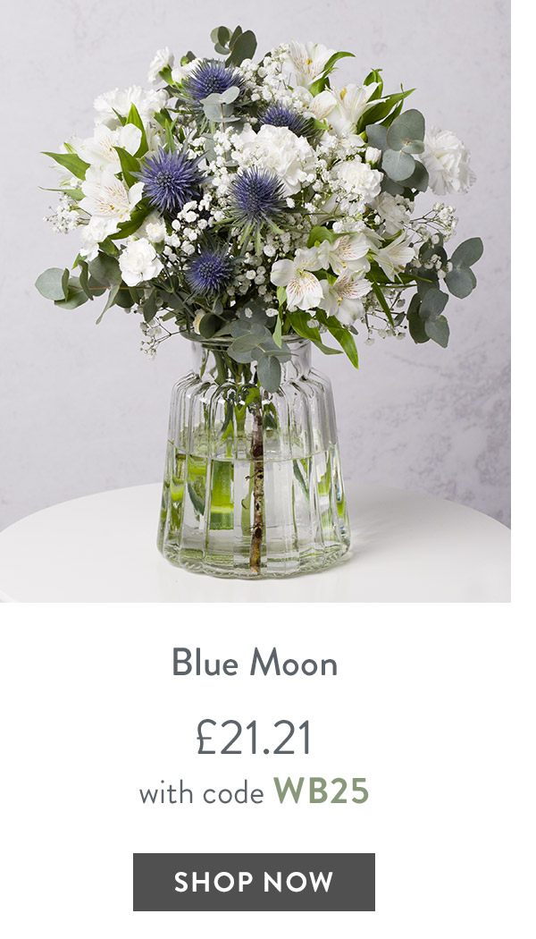 Blue Moon - only &pound;21.21 with code