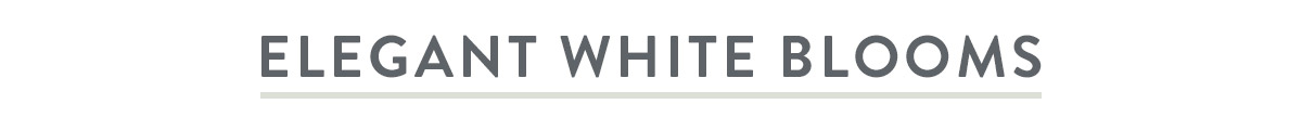 Elegant White Blooms