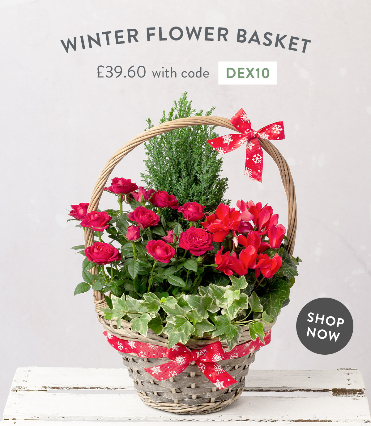 Winter Flower Basket - only &pound;39.60 with code