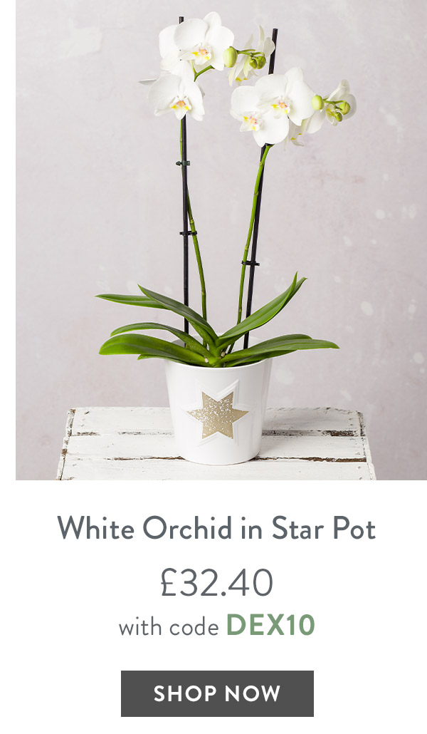 White Phalaenopsis Orchid in Star Pot - only &pound;32.40 with code