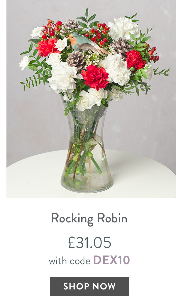 Rocking Robin - only &pound;31.05