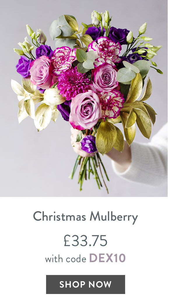 Christmas Mulberry - only &pound;33.75 with code