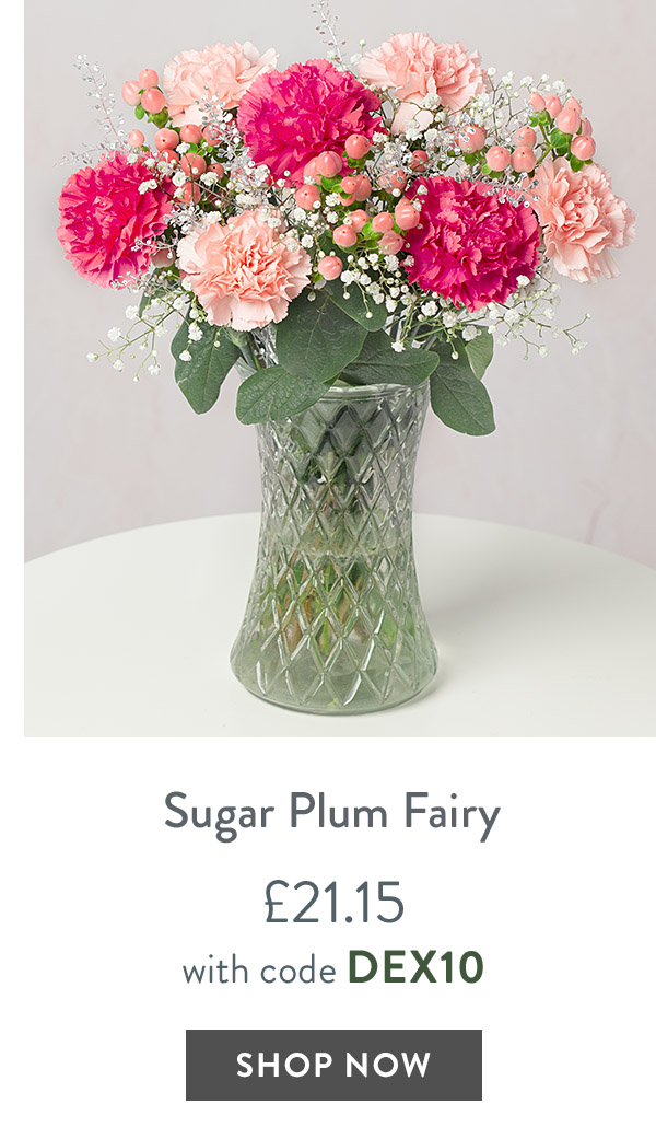 Sugar Plum Fairy - only &pound;21.15 with code