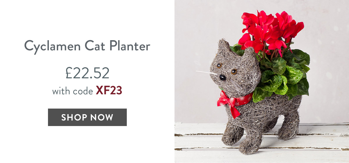 Cyclamen Cat Planter - only &pound;22.52 with code