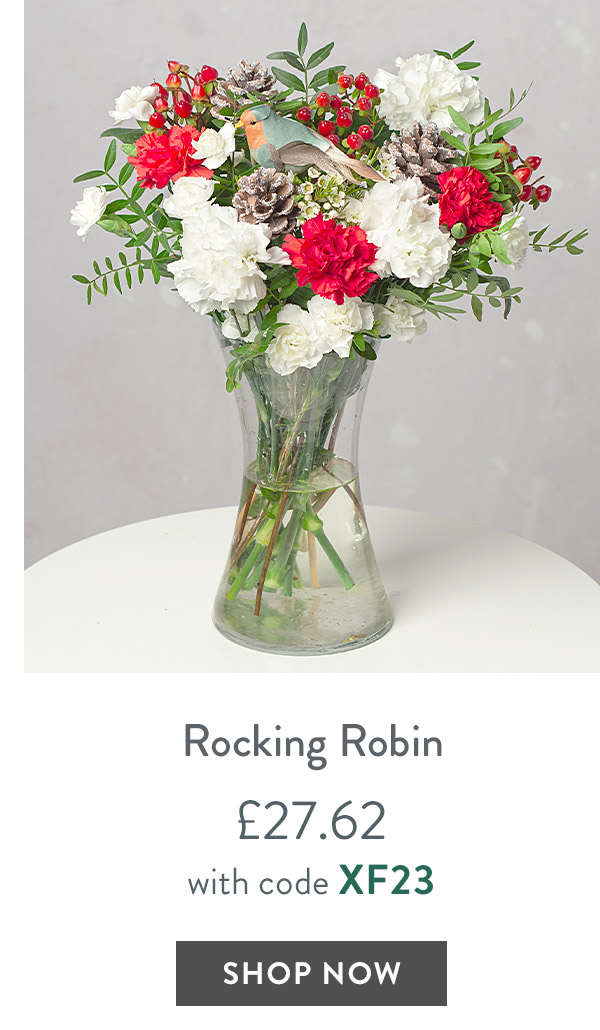 Rocking Robin - only &pound;27.62 with code