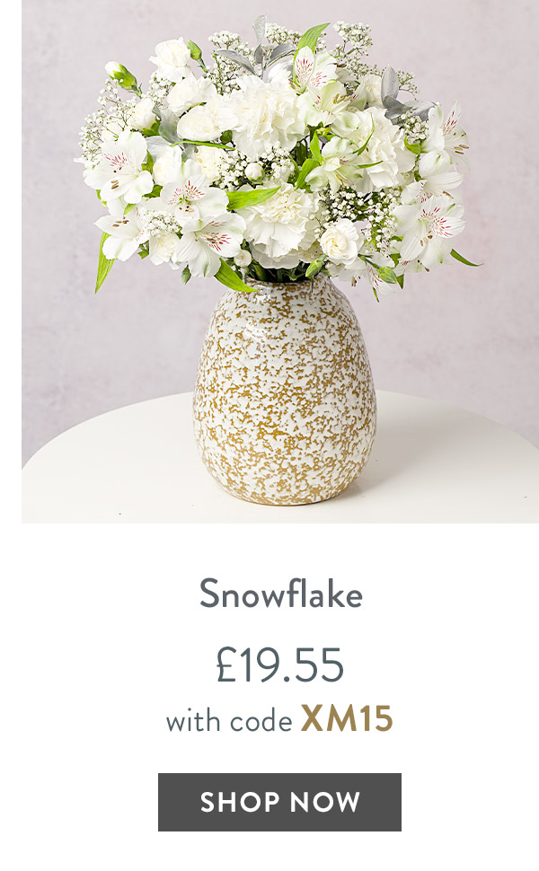 Snowflake - only &pound;19.55 with code