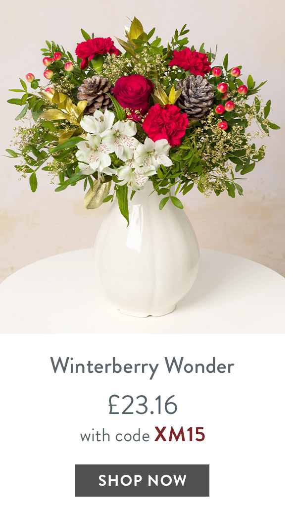Red Winterberry wonder - only &pound;23.16 with code