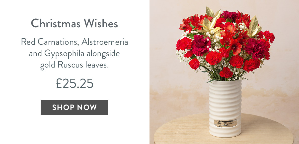 Christmas Wishes - only &pound;25.25