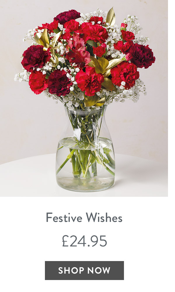 Festive Wishes - only &pound;24.95