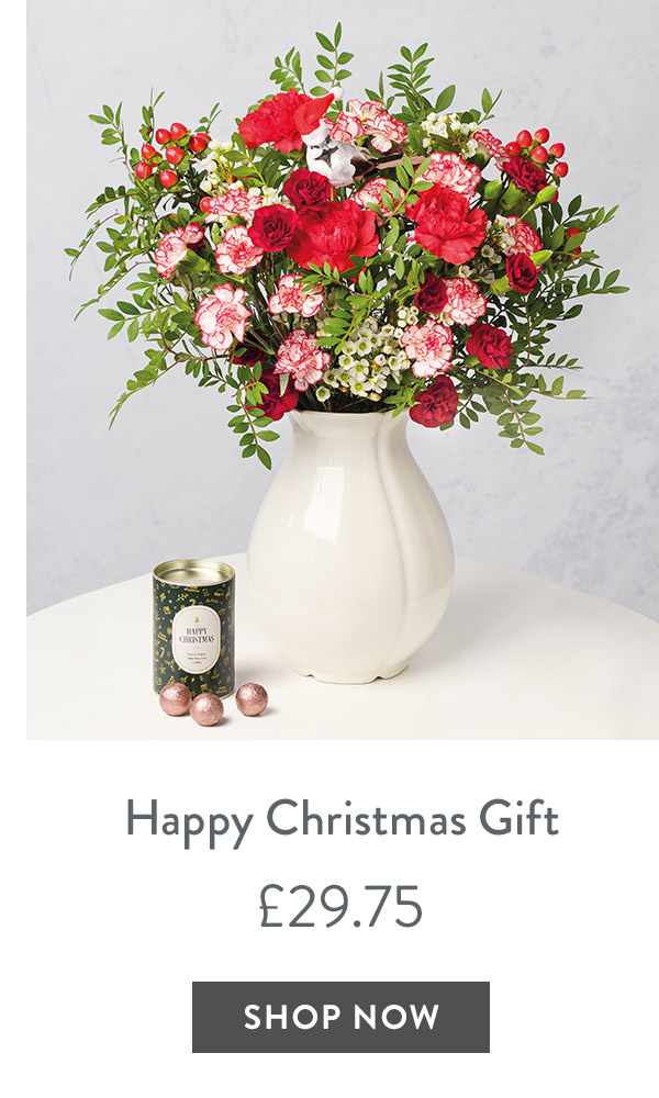 Happy Christmas Gift - only &pound;29.75