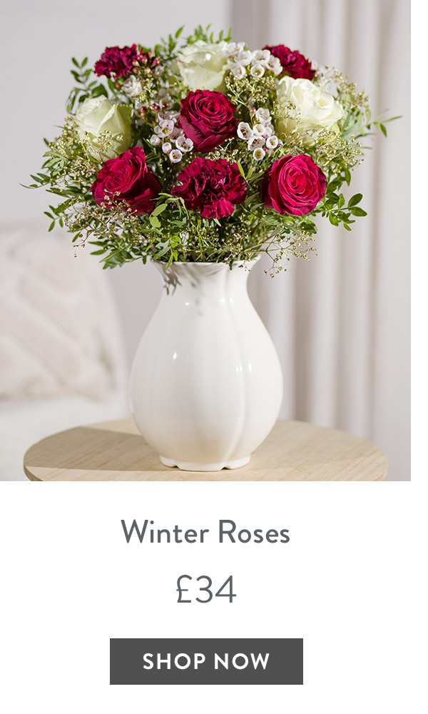 Winter Roses - only &pound;34