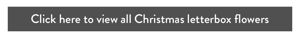 Click here to view all Christmas letterbox flowers