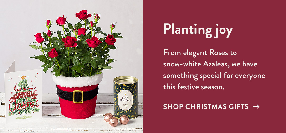 Planting Joy