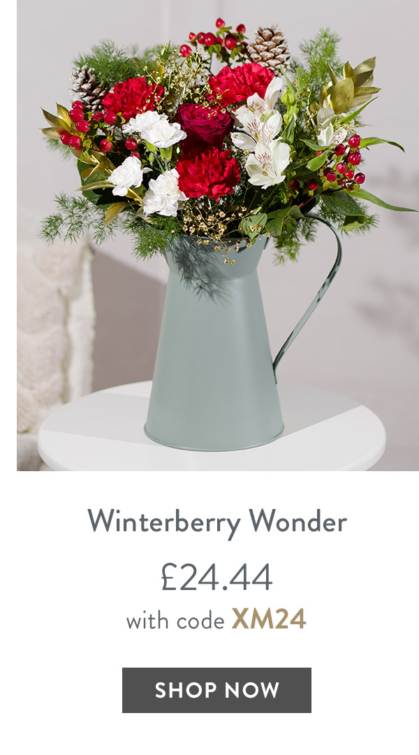 Winterberry Wonder - only &pound;24.44 with code