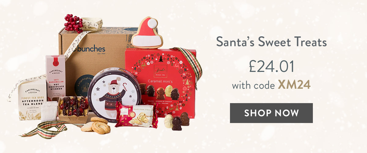 Santa's Sweet Treats - only &pound;24.01 with code
