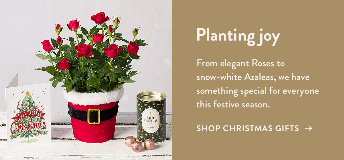 Planting Joy