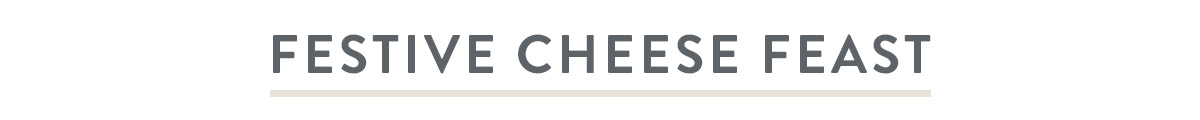 Festive Cheese Feast