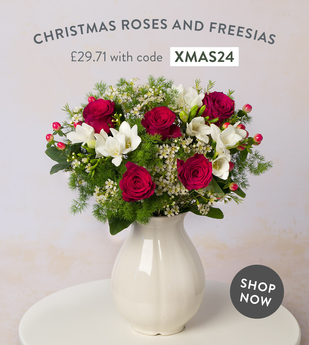 Christmas Roses and Freesias - only &pound;29.71 with code