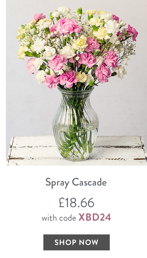 Spray Cascade - only &pound;18.66 with code