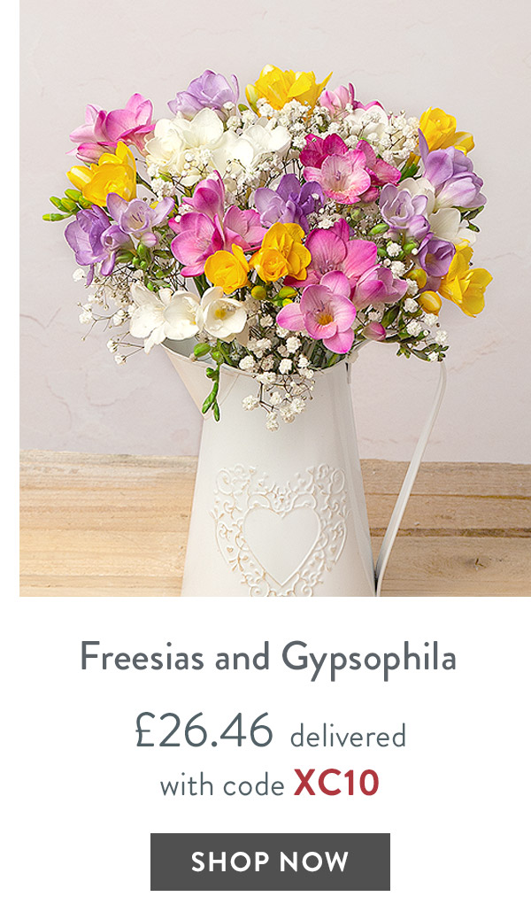 Freesias and Gypsophila - only &pound;26.46 delivered