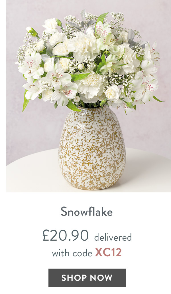 Snowflake - only &pound;20.90 delivered