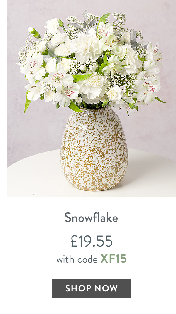 Snowflake - only &pound;19.55 with code