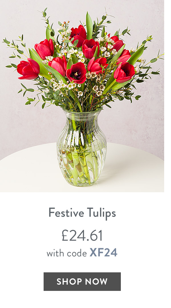 Festive Tulips - only &pound;24.61 with code