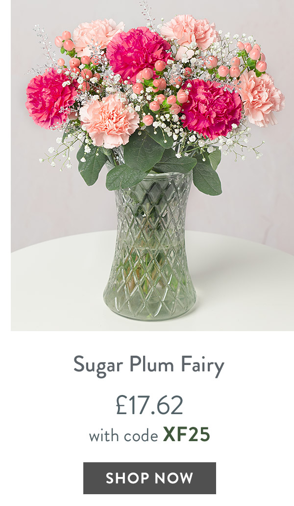 Sugar Plum Fairy - only &pound;17.62 with code