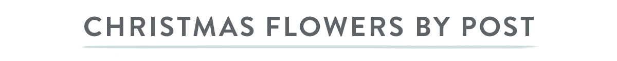 Christmas flowers by post
