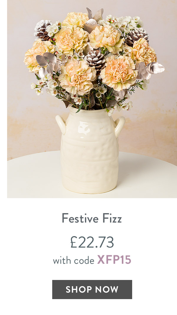 Festive Fizz - only &pound;22.73 with code