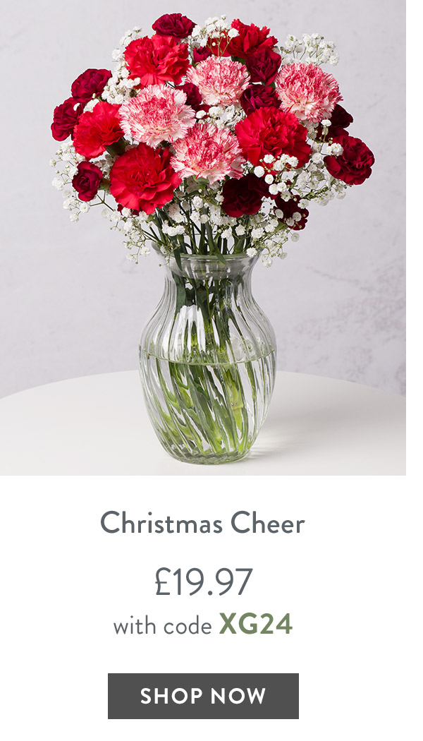 Christmas Cheer - only &pound;19.97 with code