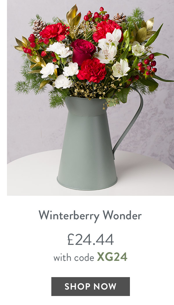 Winterberry Wonder - only &pound;24.44 with code