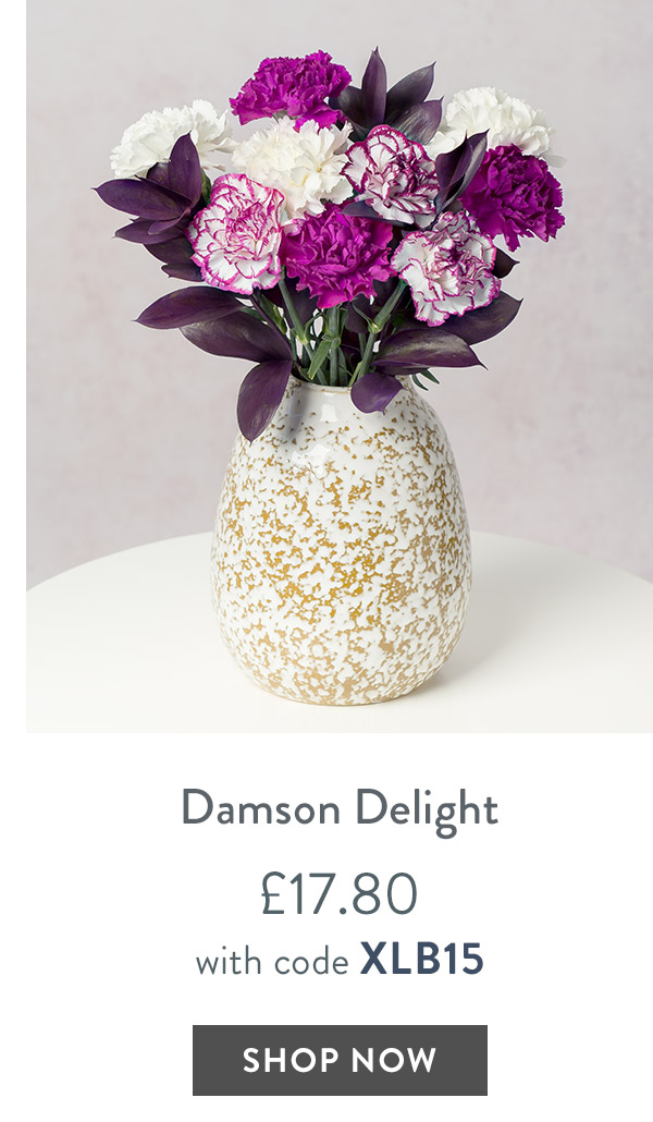 Damson Delight - only &pound;17.80 with code