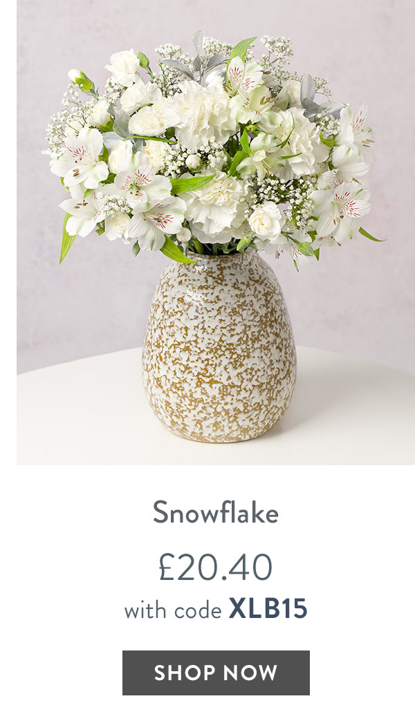 Snowflake - only &pound;20.40 with code