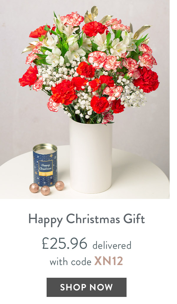 Happy Christmas Gift - only &pound;25.96 delivered