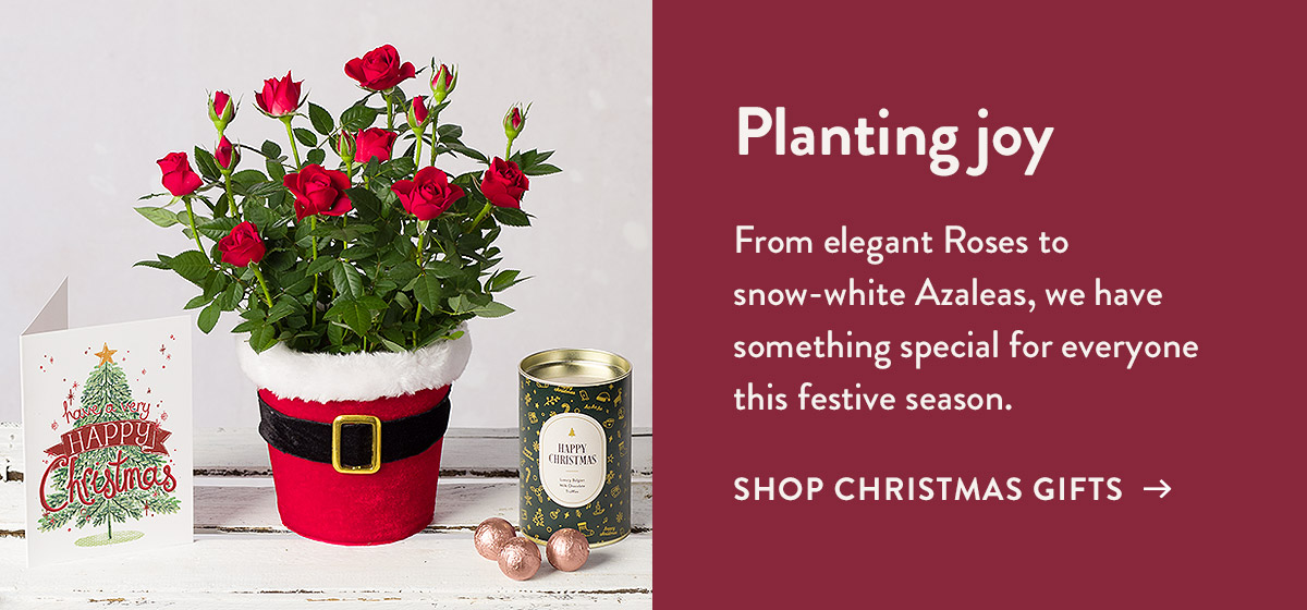 Our Christmas collection is here