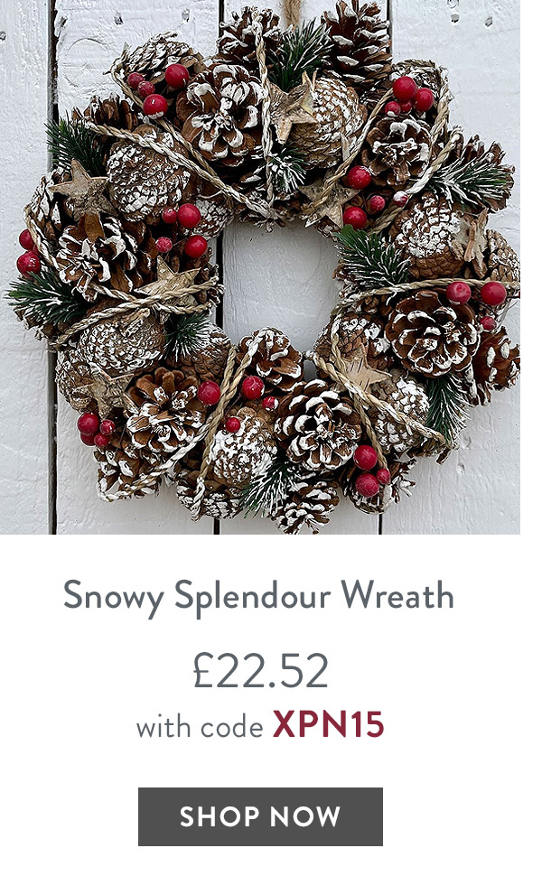 Snowy Splendour Wreath - only &pound;22.52 with code