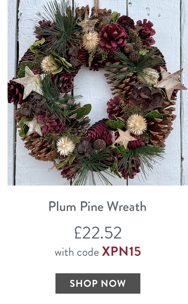 Plum Pine Wreath - only &pound;22.52 with code