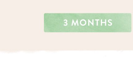 Download 3 month gift certificate